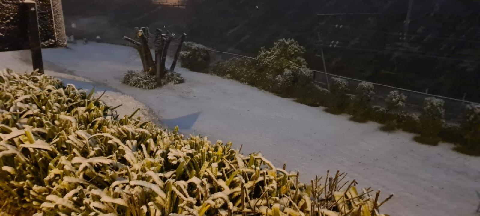 קטומבה Blue Mountains Highway Motel מראה חיצוני תמונה